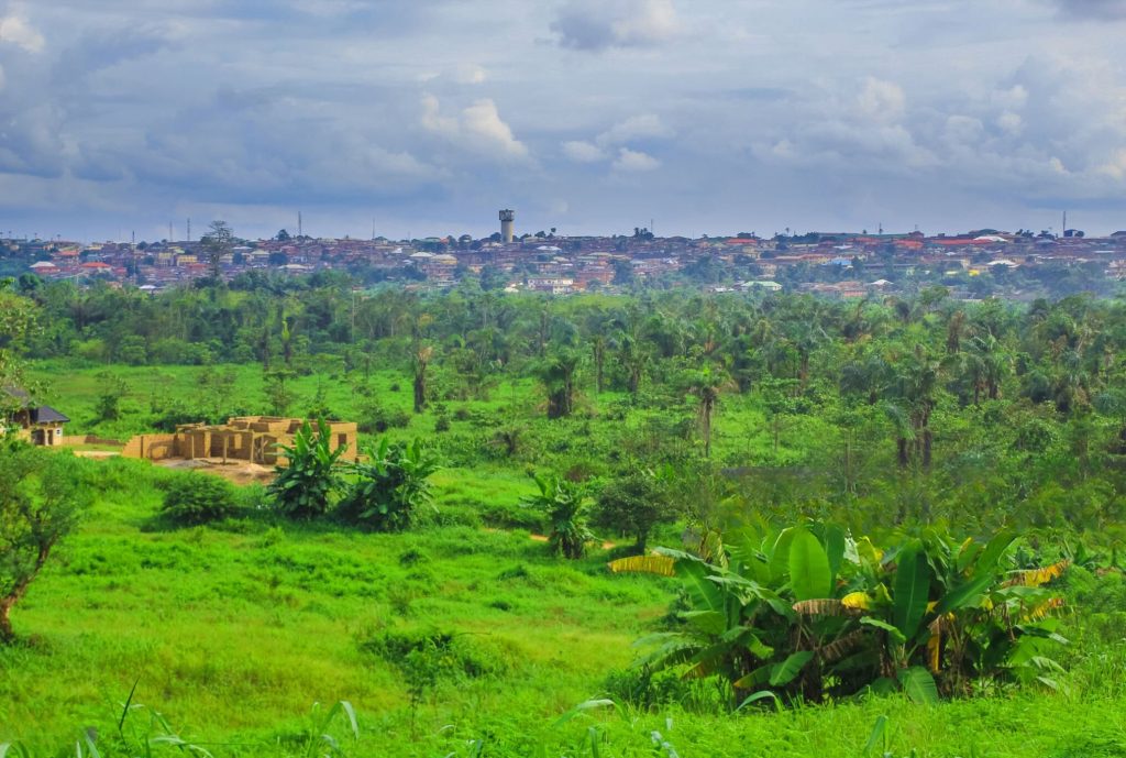 image d'un terrain qui a été acheté à douala